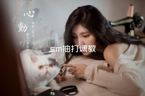 sm抽打调教
